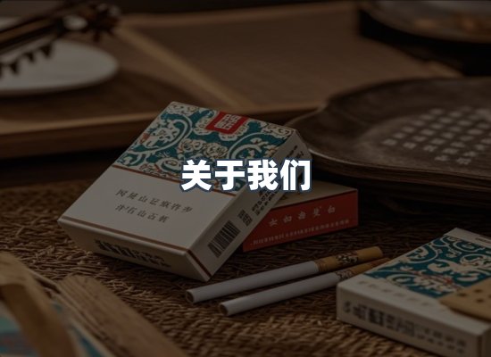 关于我们
